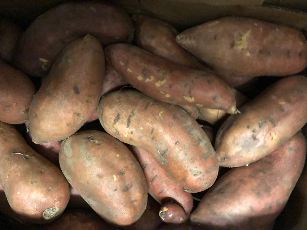 Add On: YAMS (3lb bag) [add to thanksgiving produce box ONLY]