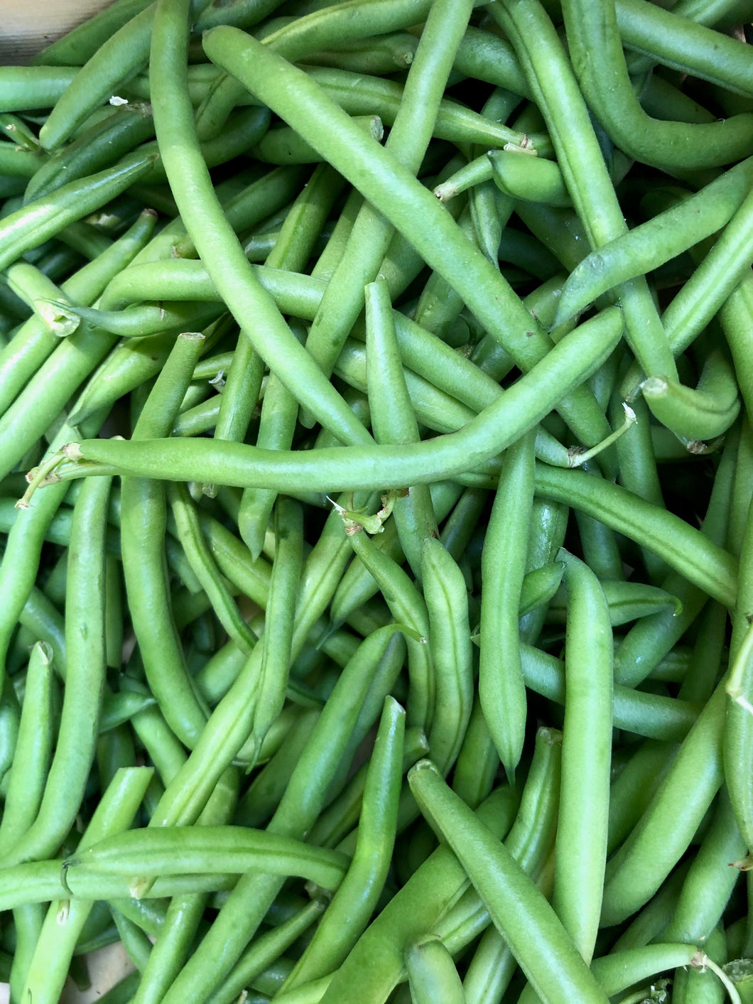 Add On: String Beans (3lb bag) [add to thanksgiving produce box ONLY]